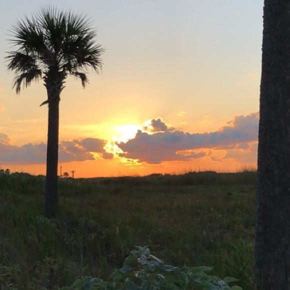 Meet your Posher, Lori - Picture 1 of 1